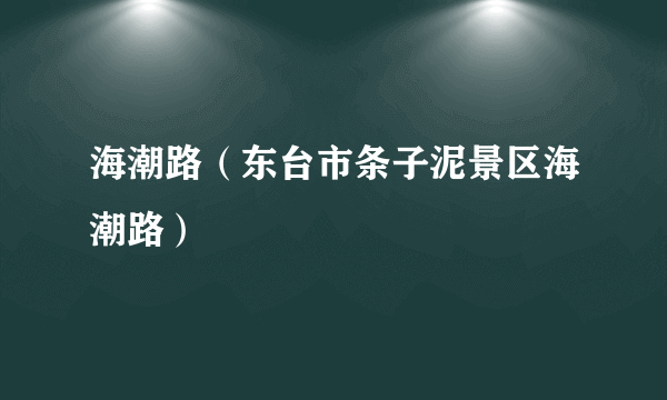 海潮路（东台市条子泥景区海潮路）