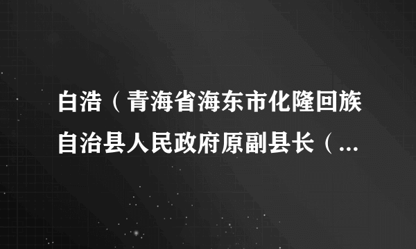 白浩（青海省海东市化隆回族自治县人民政府原副县长（挂职））