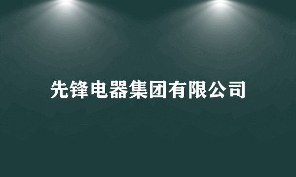 先锋电器集团有限公司