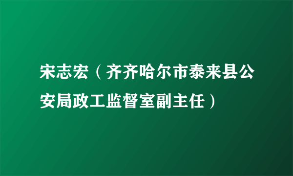 宋志宏（齐齐哈尔市泰来县公安局政工监督室副主任）