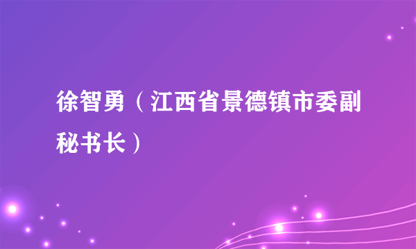 徐智勇（江西省景德镇市委副秘书长）