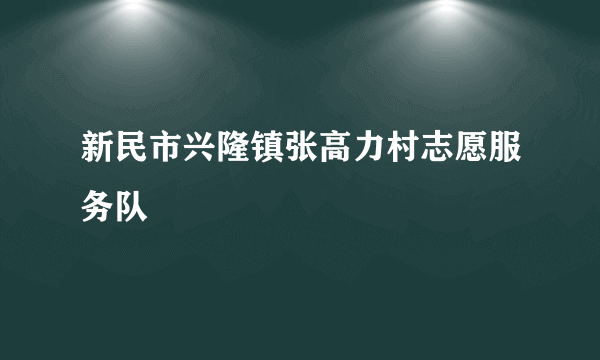 新民市兴隆镇张高力村志愿服务队