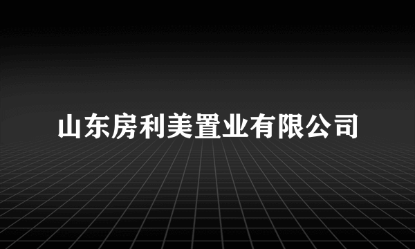 山东房利美置业有限公司