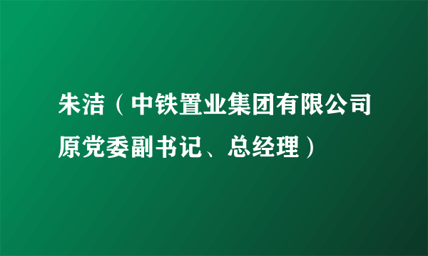 朱洁（中铁置业集团有限公司原党委副书记、总经理）