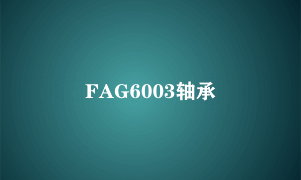 FAG6003轴承