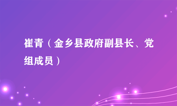 崔青（金乡县政府副县长、党组成员）