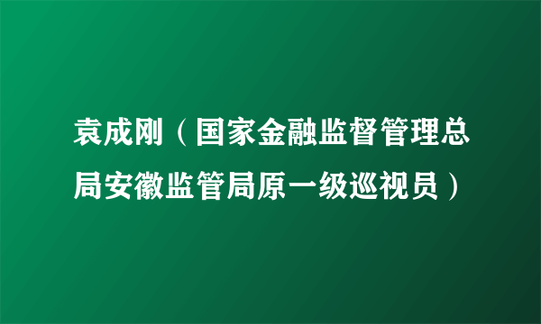 袁成刚（国家金融监督管理总局安徽监管局原一级巡视员）