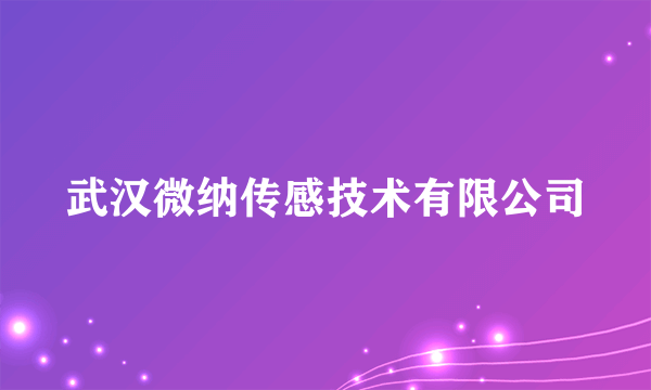 武汉微纳传感技术有限公司