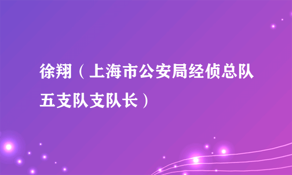 徐翔（上海市公安局经侦总队五支队支队长）