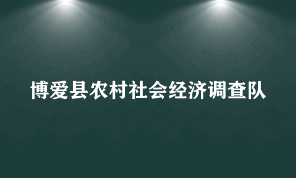 博爱县农村社会经济调查队