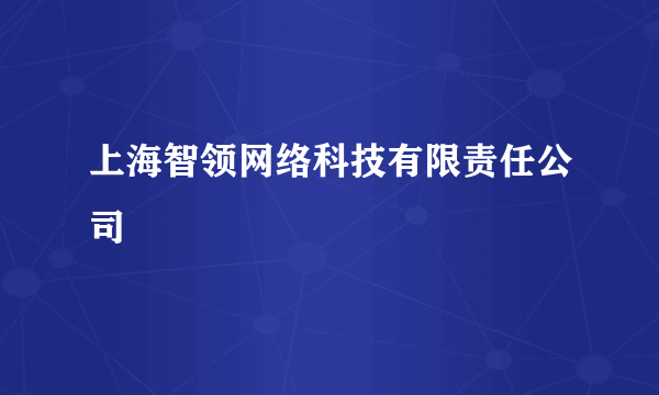 上海智领网络科技有限责任公司