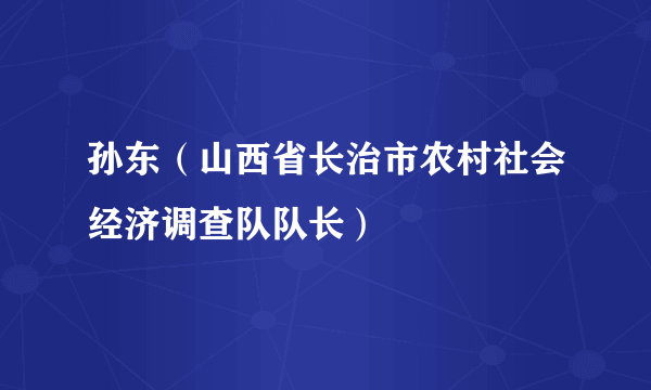 孙东（山西省长治市农村社会经济调查队队长）