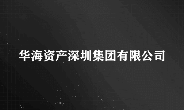 华海资产深圳集团有限公司