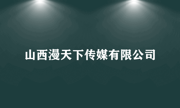 山西漫天下传媒有限公司