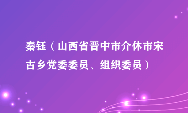 秦钰（山西省晋中市介休市宋古乡党委委员、组织委员）