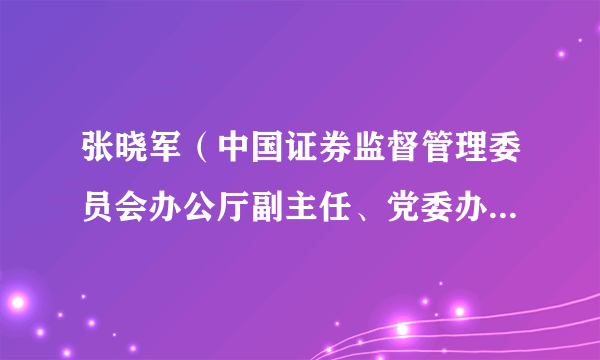 张晓军（中国证券监督管理委员会办公厅副主任、党委办公室副主任兼新闻发言人）