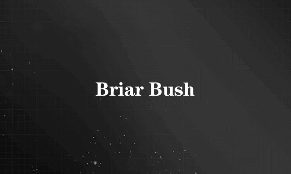 Briar Bush