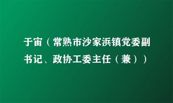 于宙（常熟市沙家浜镇党委副书记、政协工委主任（兼））