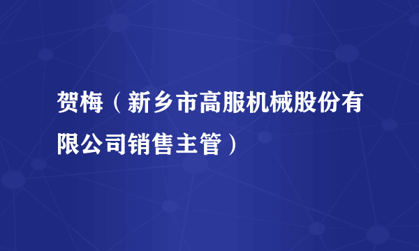 贺梅（新乡市高服机械股份有限公司销售主管）