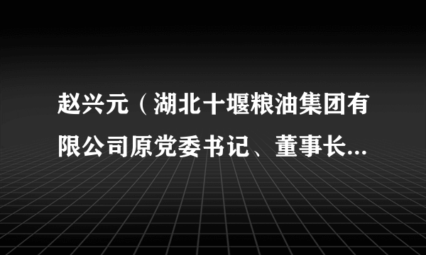 赵兴元（湖北十堰粮油集团有限公司原党委书记、董事长、总经理）