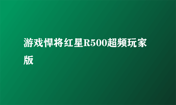 游戏悍将红星R500超频玩家版