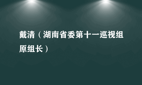 戴清（湖南省委第十一巡视组原组长）