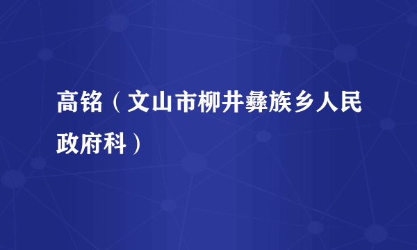 高铭（文山市柳井彝族乡人民政府科）