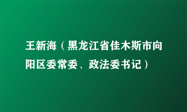 王新海（黑龙江省佳木斯市向阳区委常委、政法委书记）