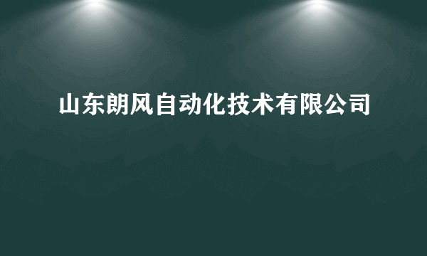 山东朗风自动化技术有限公司