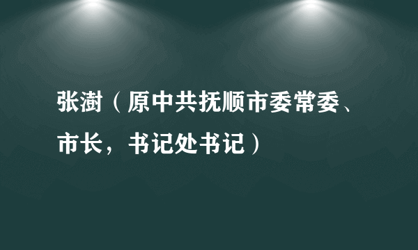 张澍（原中共抚顺市委常委、市长，书记处书记）