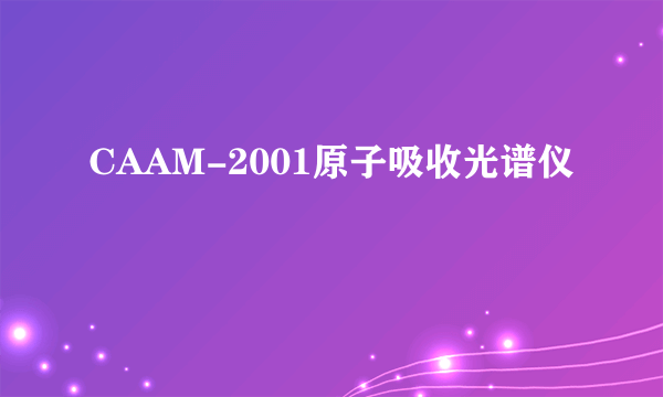 CAAM-2001原子吸收光谱仪