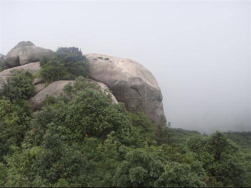 永定洪山王寿山