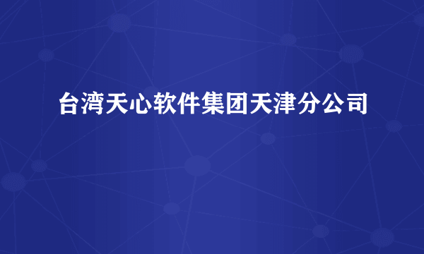 台湾天心软件集团天津分公司