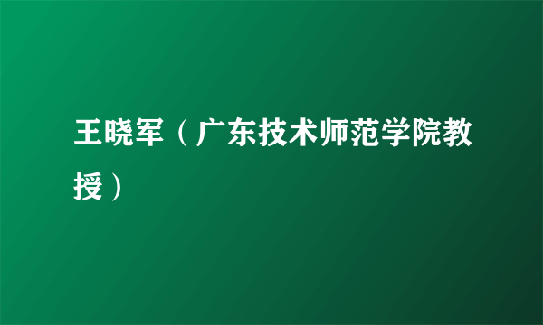 王晓军（广东技术师范学院教授）