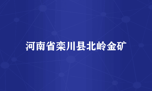 河南省栾川县北岭金矿