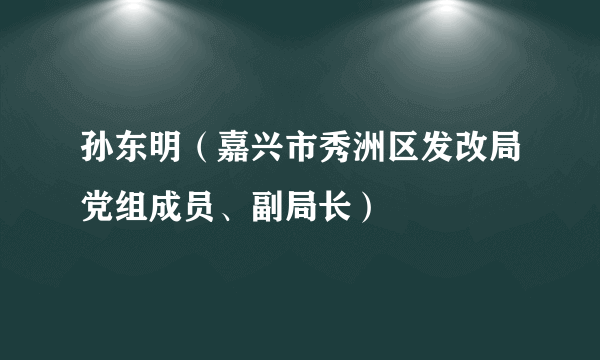 孙东明（嘉兴市秀洲区发改局党组成员、副局长）