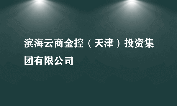 滨海云商金控（天津）投资集团有限公司