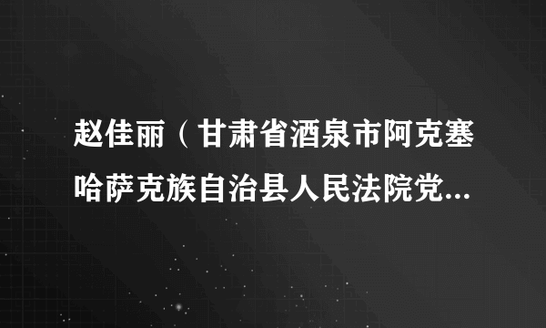 赵佳丽（甘肃省酒泉市阿克塞哈萨克族自治县人民法院党组书记、院长）