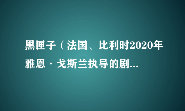 黑匣子（法国、比利时2020年雅恩·戈斯兰执导的剧情电影）