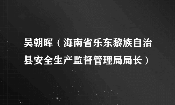 吴朝晖（海南省乐东黎族自治县安全生产监督管理局局长）