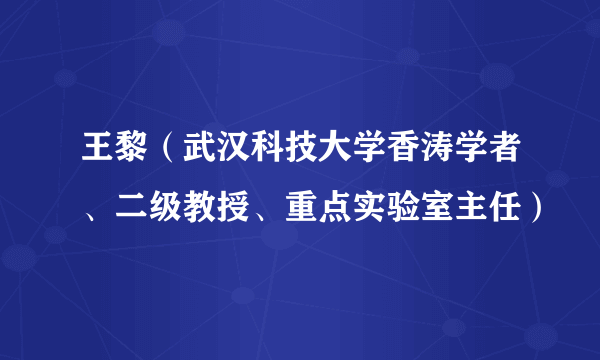 王黎（武汉科技大学香涛学者、二级教授、重点实验室主任）