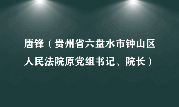 唐锋（贵州省六盘水市钟山区人民法院原党组书记、院长）