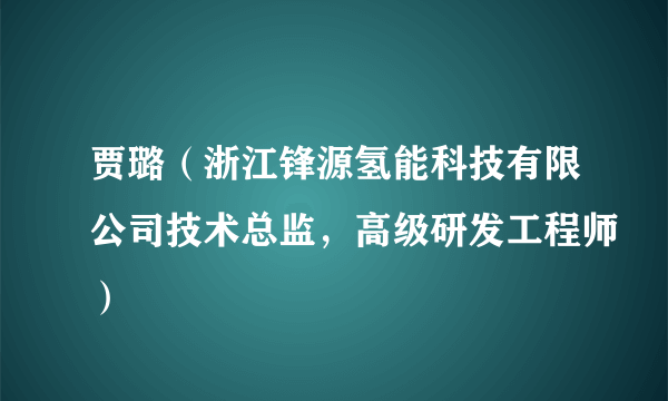 贾璐（浙江锋源氢能科技有限公司技术总监，高级研发工程师）