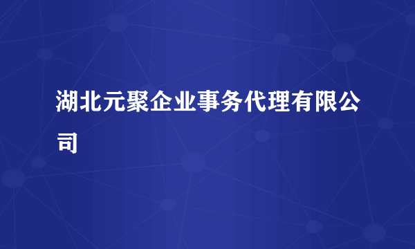 湖北元聚企业事务代理有限公司