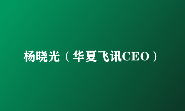 杨晓光（华夏飞讯CEO）