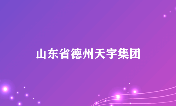 山东省德州天宇集团