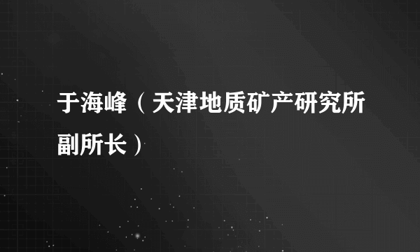 于海峰（天津地质矿产研究所副所长）