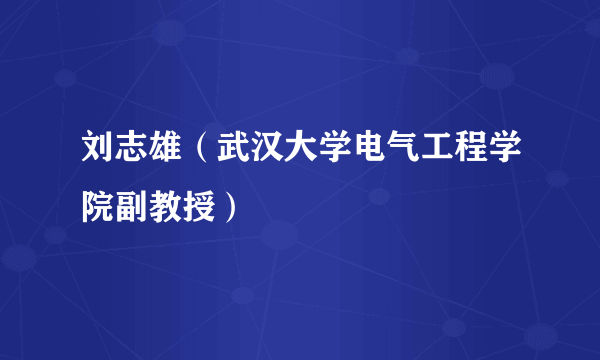 刘志雄（武汉大学电气工程学院副教授）