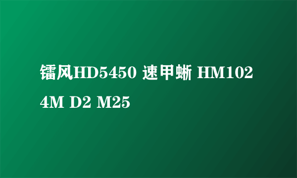 镭风HD5450 速甲蜥 HM1024M D2 M25