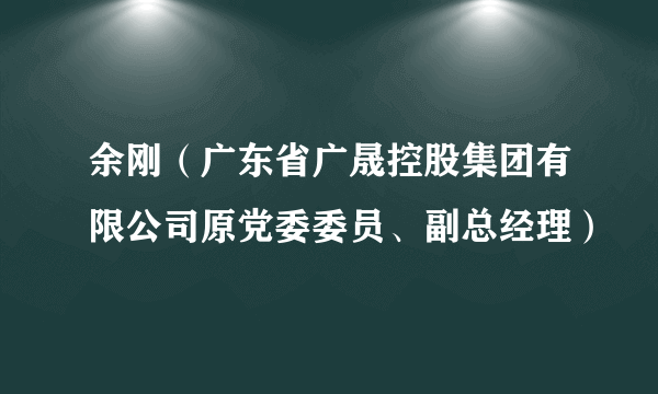 余刚（广东省广晟控股集团有限公司原党委委员、副总经理）